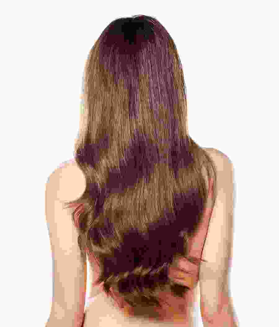Straight Hair Brown Wig