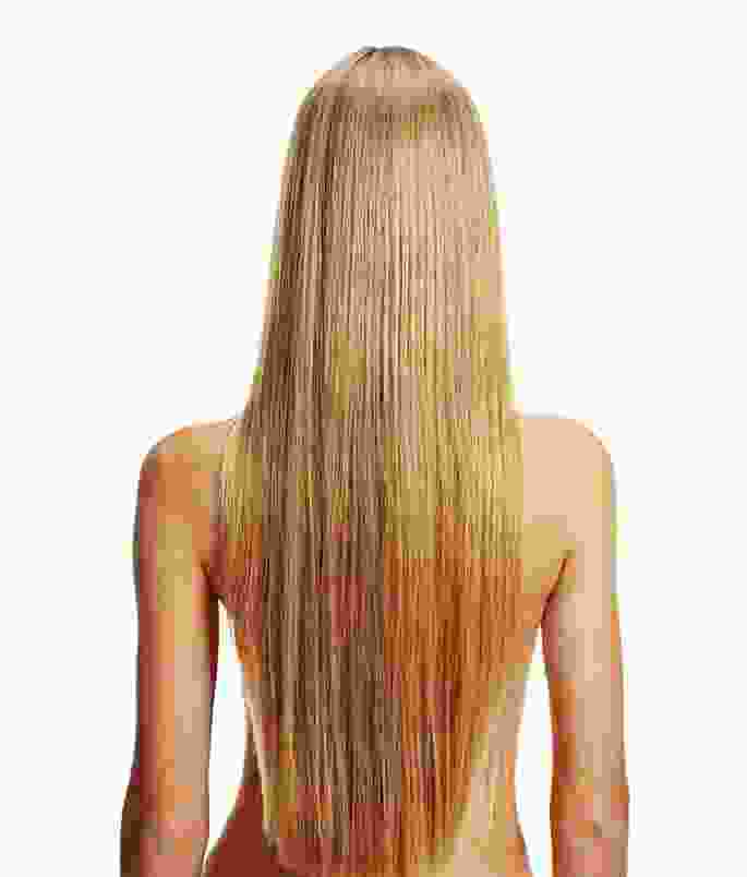 Long Hair Golden Brown Wig